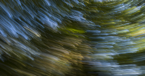 november light painting1