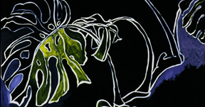 Adria\'s Philodendron