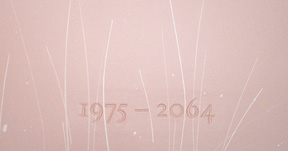 in a box made of pine layest thy body of mine