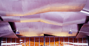 Untitled | Chicago IL