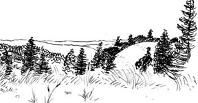 Near San Jose, California