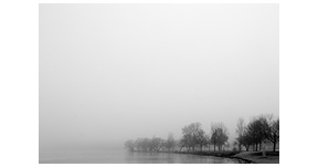 Misty Lake